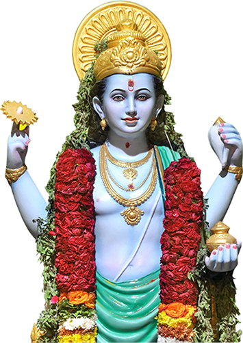 ODISHA RAJAYA BANOUSADHI BISESANGYA MAHASANGHA (ODISHA)